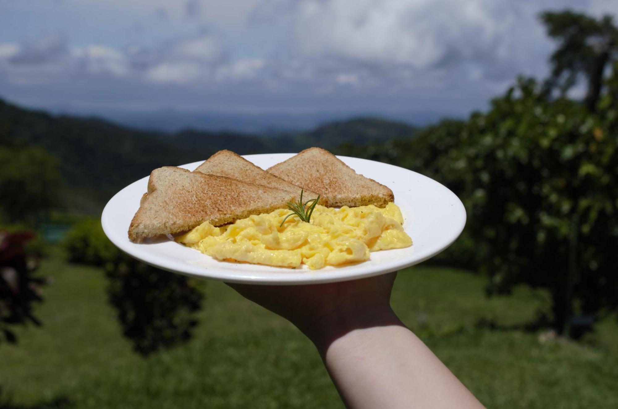 Casitas De Montana Cabuya Hotel Monteverde ภายนอก รูปภาพ